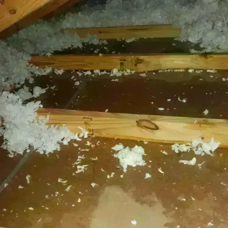 Attic Water Damage in Gautier, MS